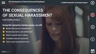 The Consequences of Sexual Harassment™ (DE Employee)